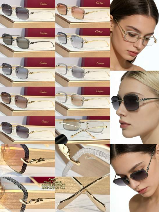 Picture of Cartier Sunglasses _SKUfw79683747fw